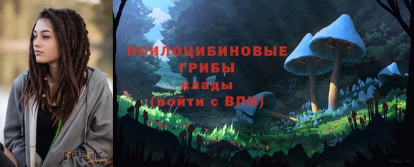 mdpv Нея