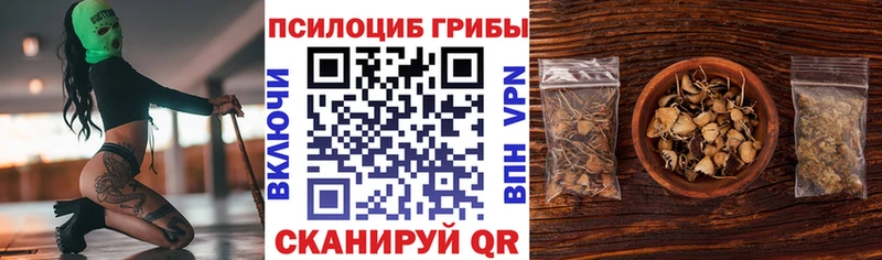 Галлюциногенные грибы Psilocybine cubensis Новое Девяткино
